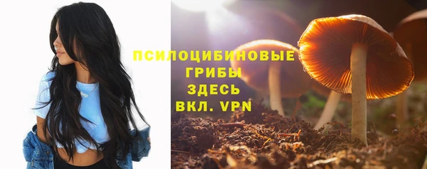 спайс Алзамай