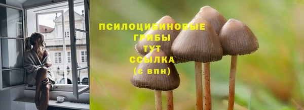 дживик Абинск