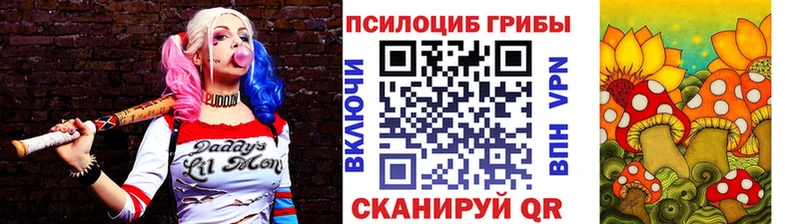 Галлюциногенные грибы Psilocybine cubensis  Тарко-Сале 